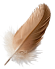 Feather Header Img rsz